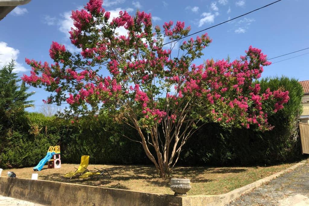 Au Lilas Rose Maison Entre Campagne Et Village Belvès Dış mekan fotoğraf