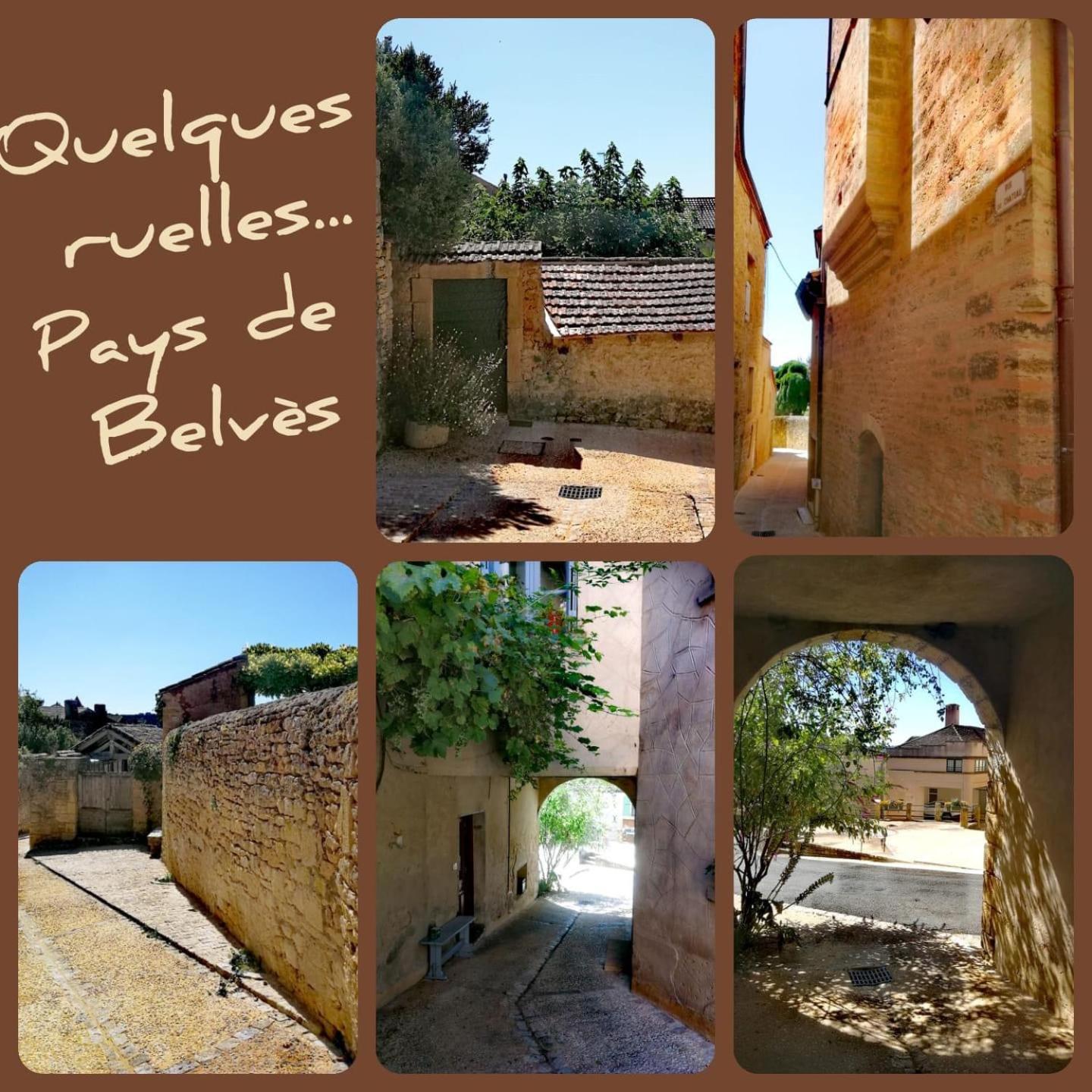 Au Lilas Rose Maison Entre Campagne Et Village Belvès Dış mekan fotoğraf